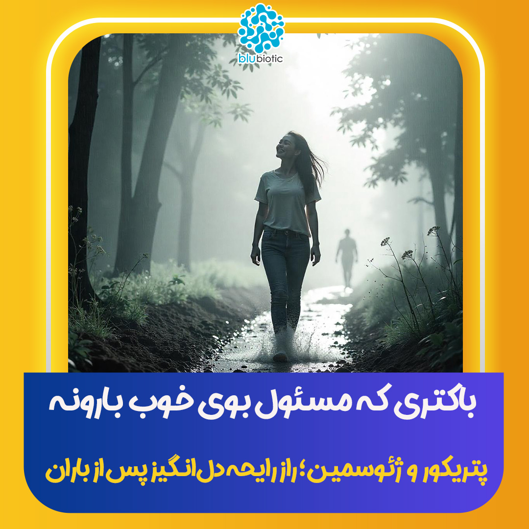 تصویر اسلایدر